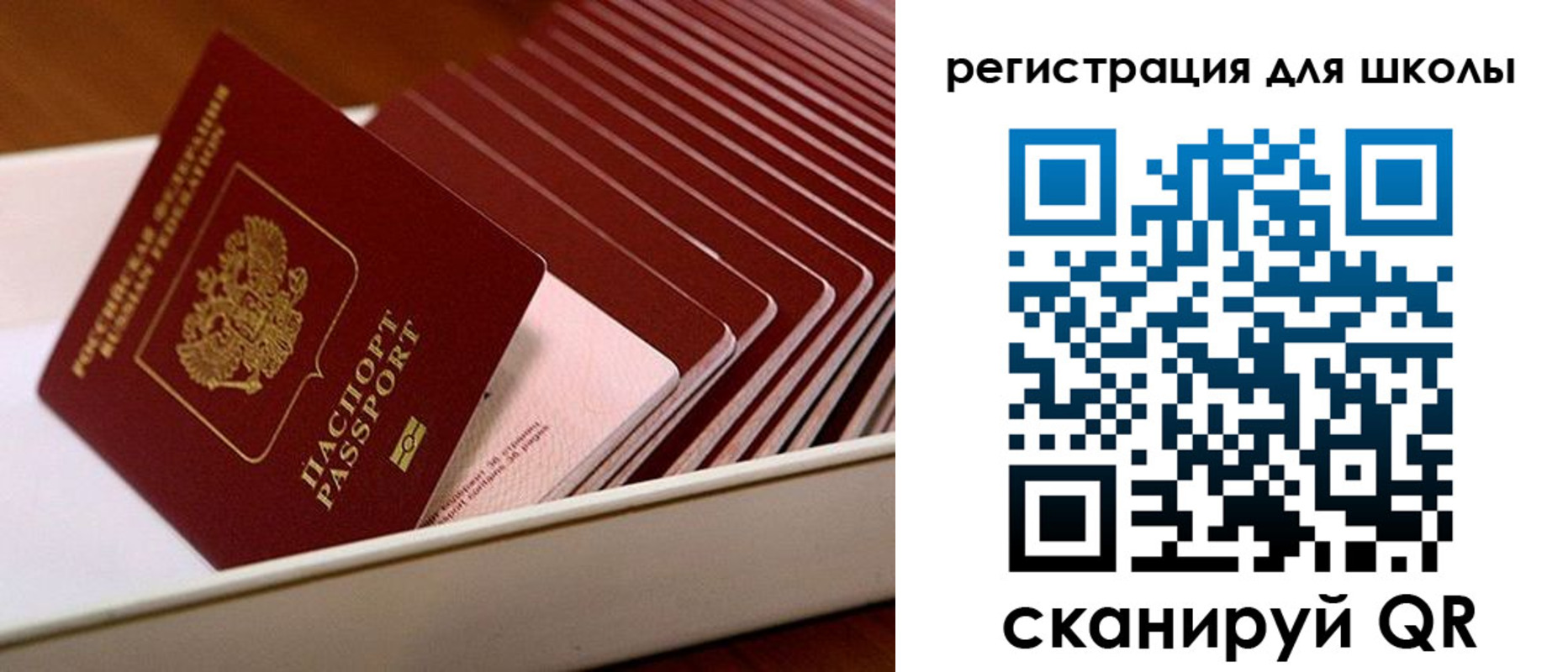 прописка гарантия в Брянской области